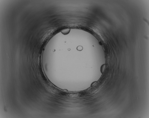 X0000094080495200710190921