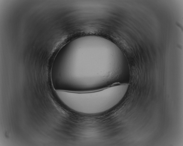 X0000094080496200710190921