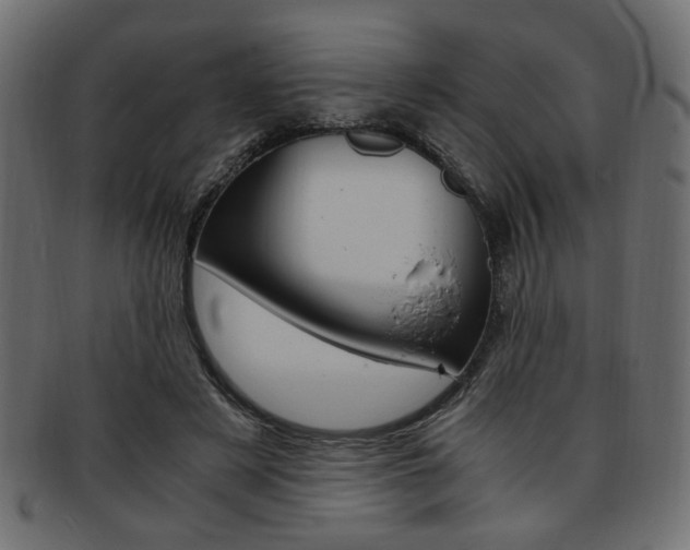 X0000094080497200710190921