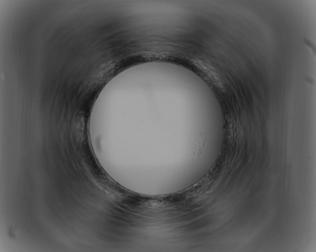 X0000094080498200710190921