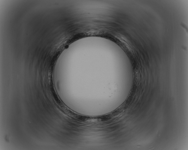X0000094080499200710190921