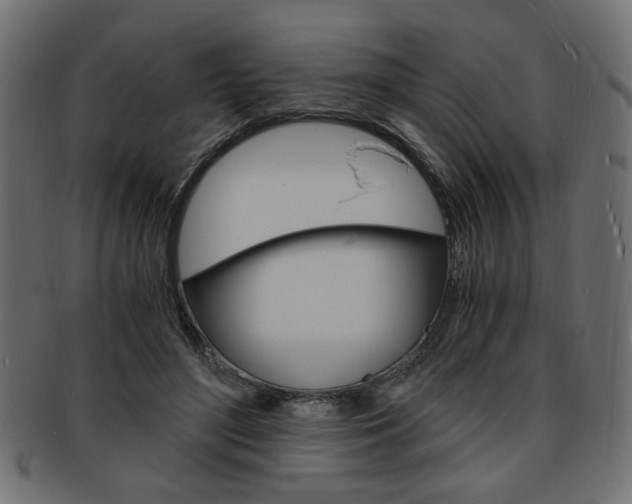 X0000094080500200710190921