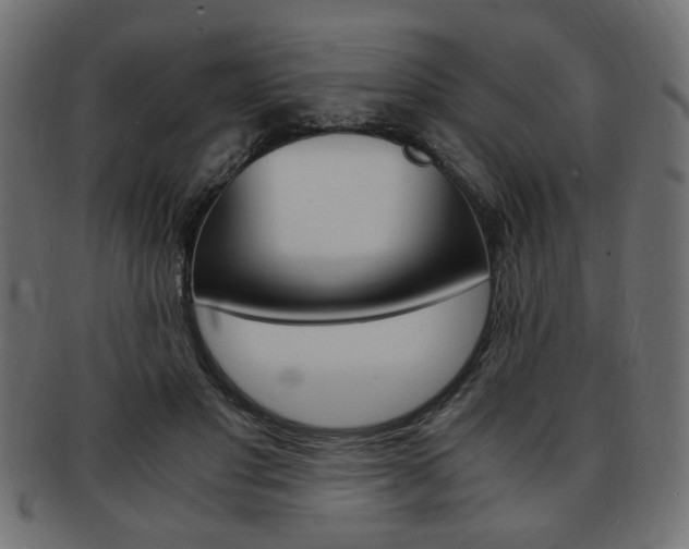 X0000094080501200710190921