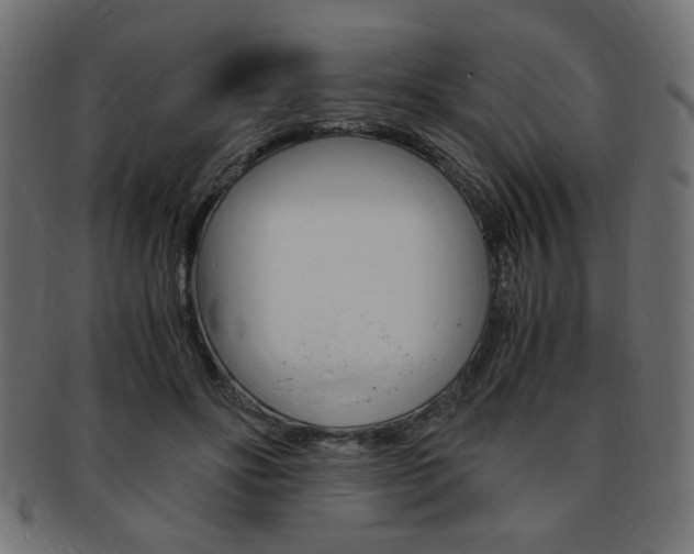 X0000094080502200710190921