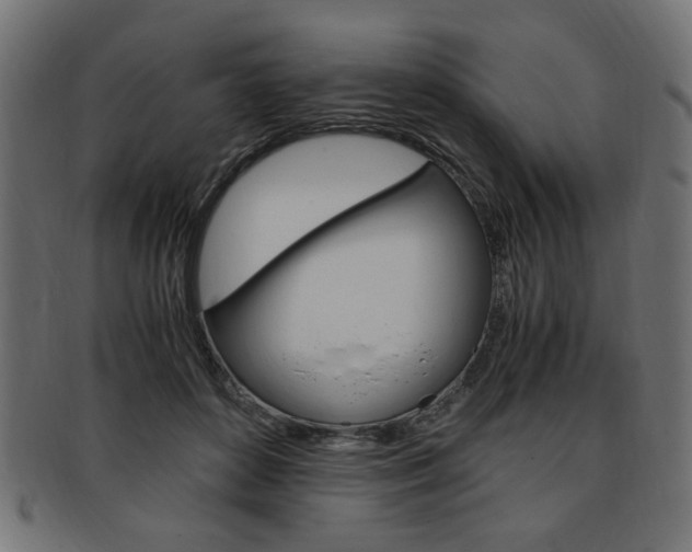X0000094080504200710190921
