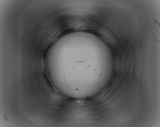 X0000094080506200710190921