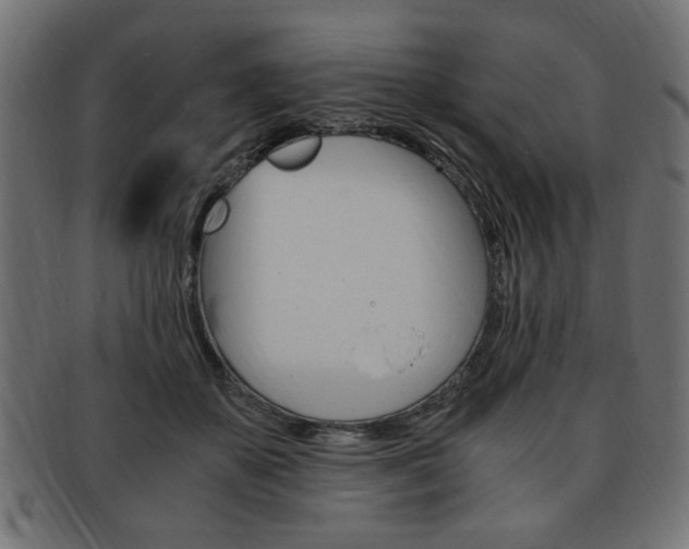 X0000094080507200710190921