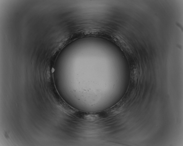 X0000094080508200710190921