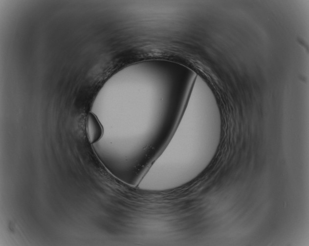 X0000094080509200710190921