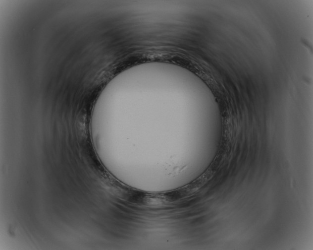 X0000094080510200710190921