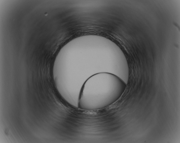 X0000094080512200710190921
