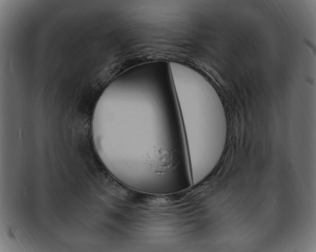 X0000094080513200710190921