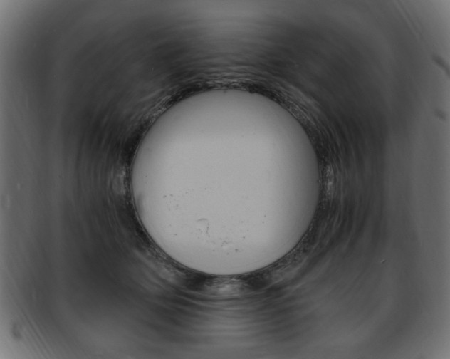 X0000094080514200710190921