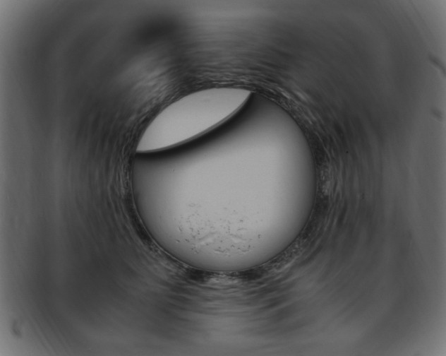 X0000094080515200710190921