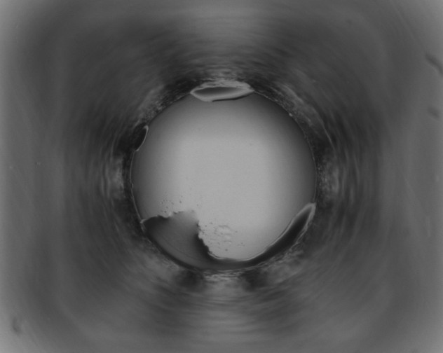 X0000094080516200710190921