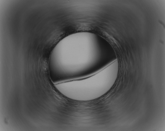 X0000094080517200710190921