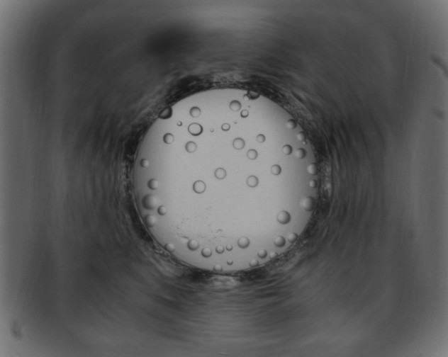 X0000094080519200710190921