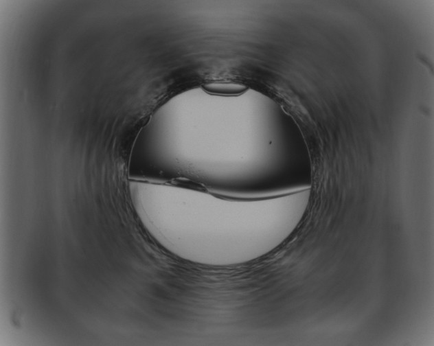 X0000094080521200710190921