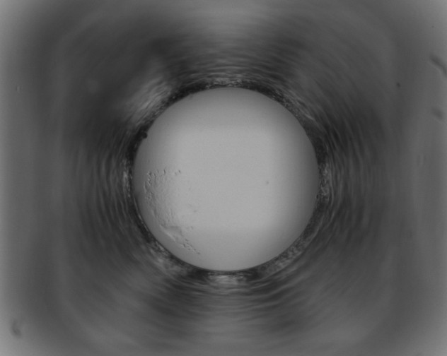 X0000094080522200710190921