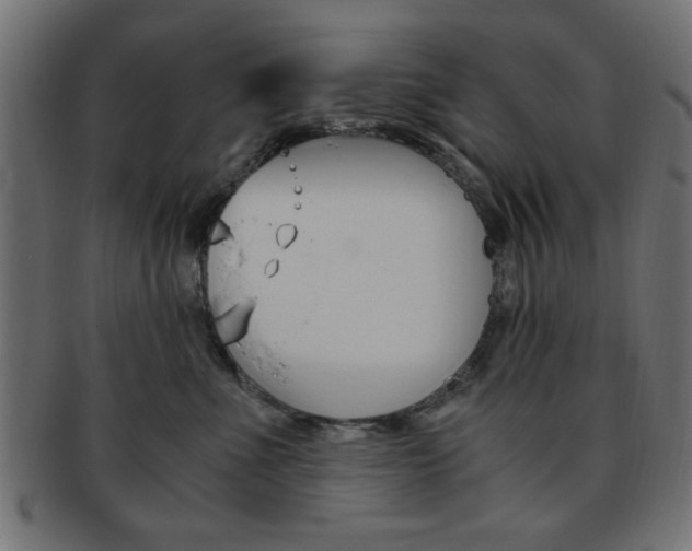 X0000094080523200710190921