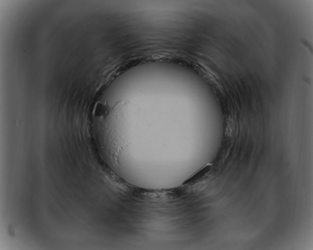 X0000094080524200710190921