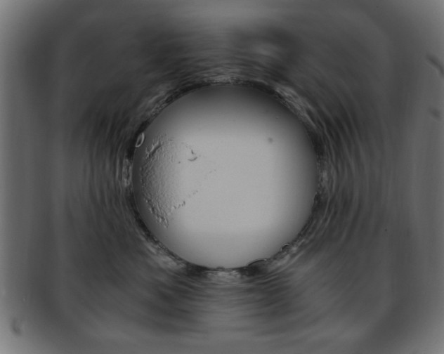 X0000094080525200710190921
