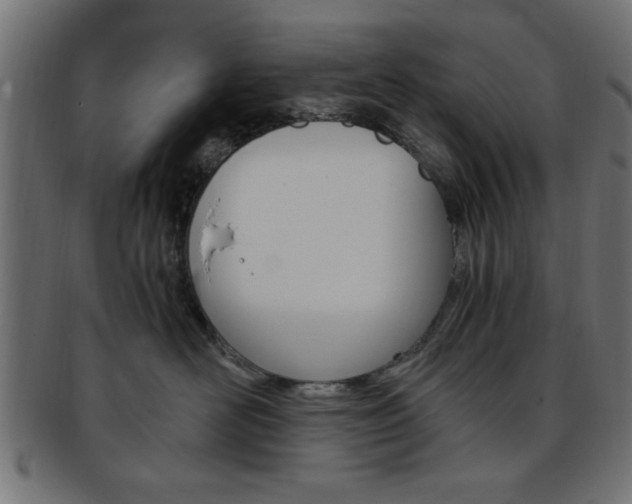 X0000094080526200710190921