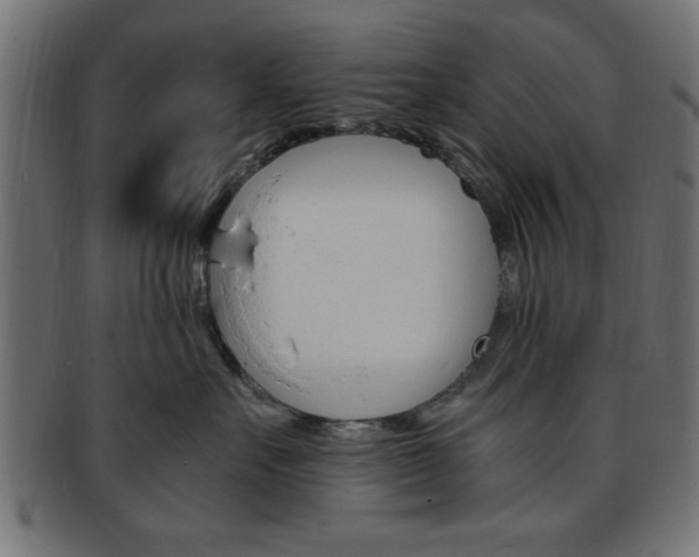 X0000094080527200710190921