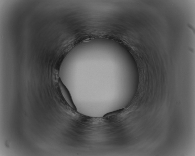 X0000094080528200710190921