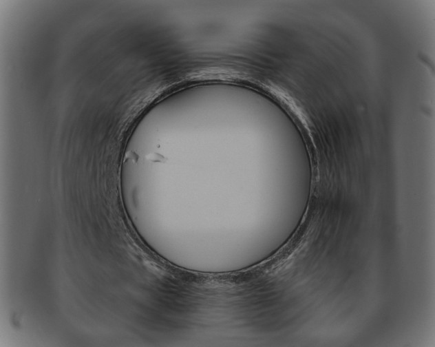 X0000094080529200710190920