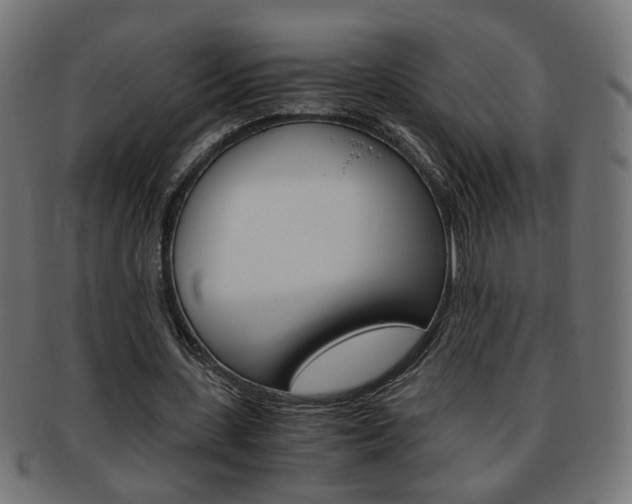 X0000094080531200710190920