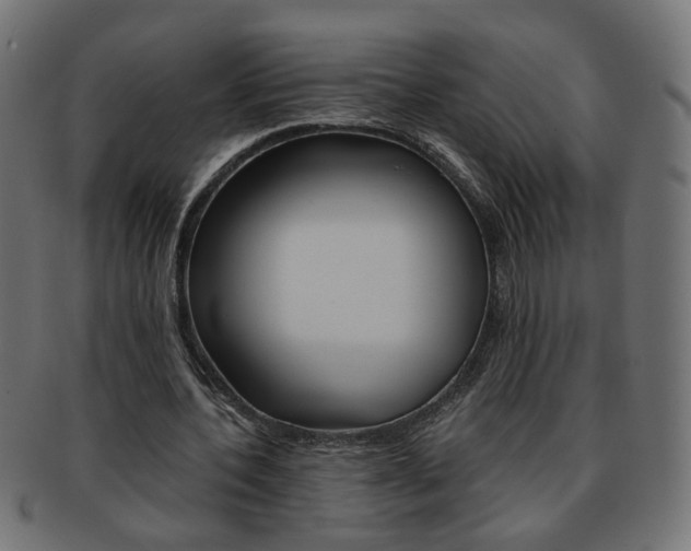 X0000094080532200710190920