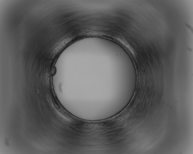 X0000094080533200710190920