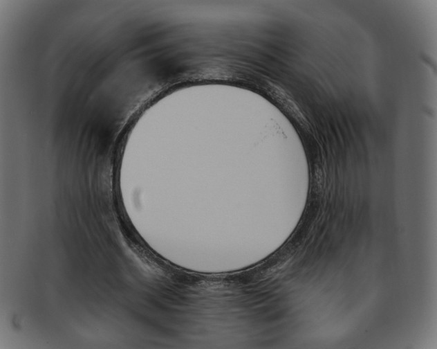 X0000094080534200710190920