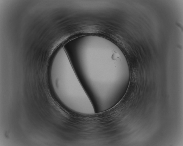 X0000094080535200710190920