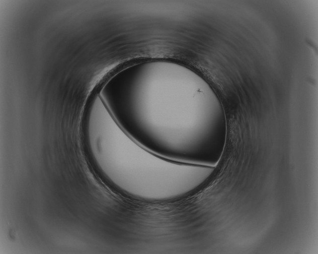 X0000094080536200710190920