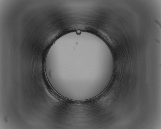 X0000094080538200710190920
