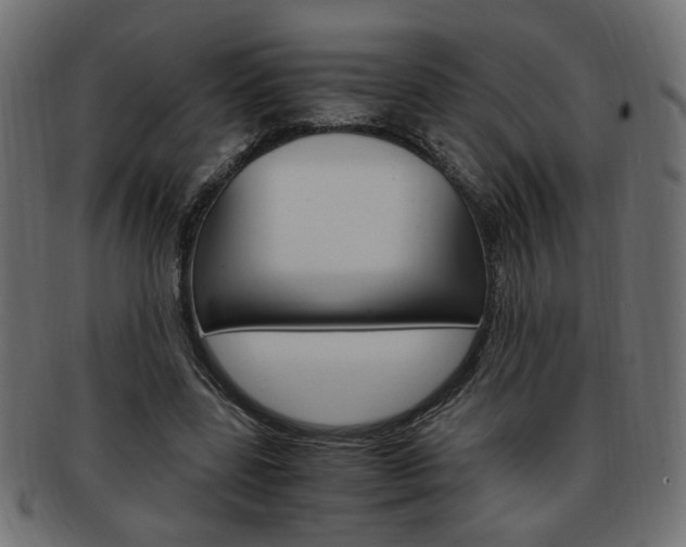 X0000094080539200710190920