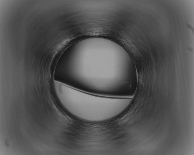 X0000094080540200710190920