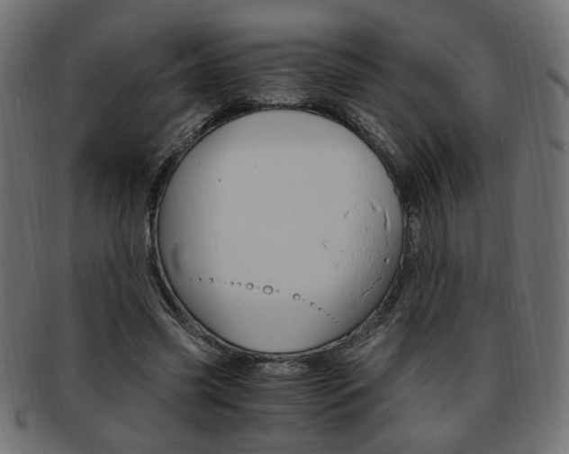 X0000094080541200710190920