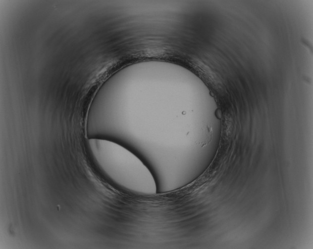 X0000094080542200710190920