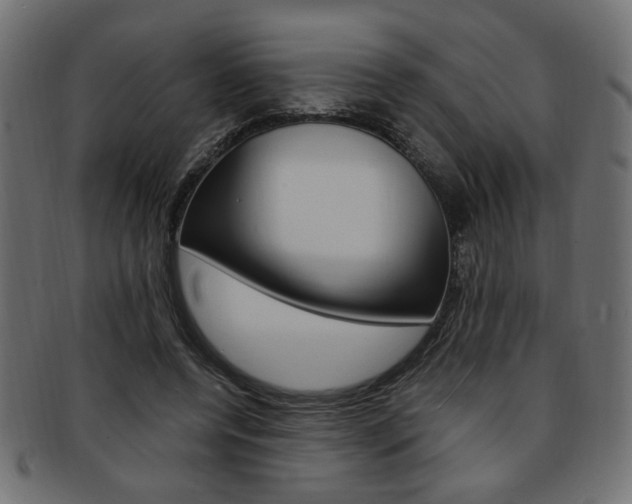 X0000094080544200710190920