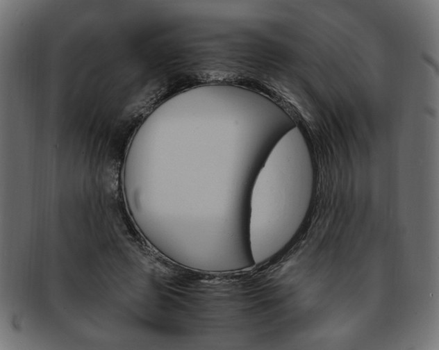 X0000094080545200710190920