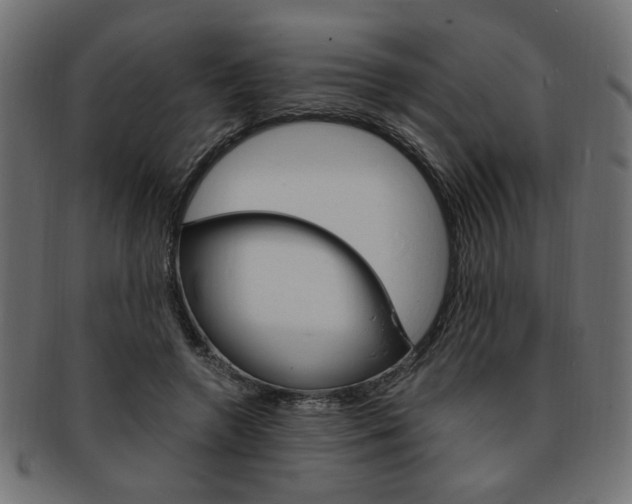 X0000094080546200710190920