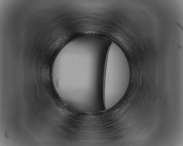 X0000094080547200710190920