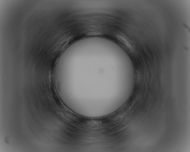 X0000094080549200710190920