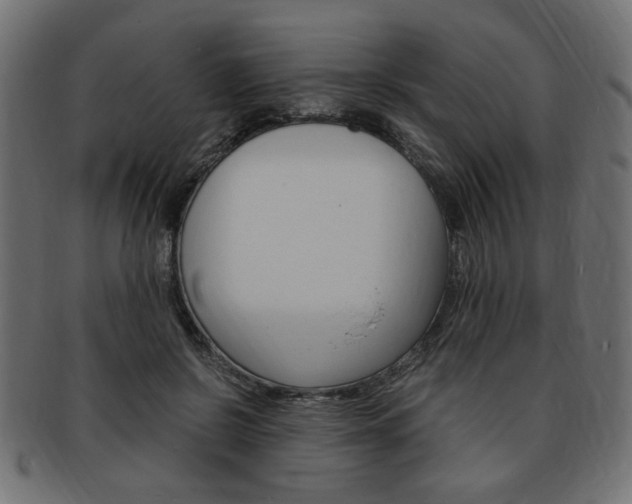 X0000094080550200710190920