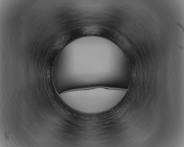X0000094080551200710190920
