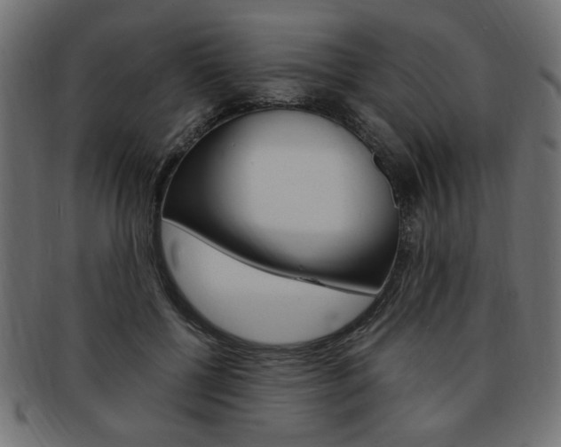 X0000094080552200710190920