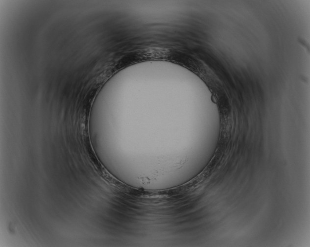 X0000094080553200710190920